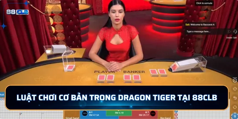 Dragon Tiger - Trải Nghiệm Game Bài Kịch Tính Tại 88CLB 3 Luật chơi cơ bản trong Dragon Tiger tại 88CLB